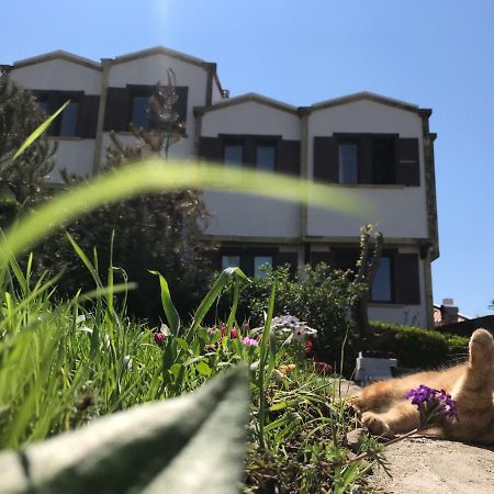 Apollon Hotel Бозджаада Екстериор снимка