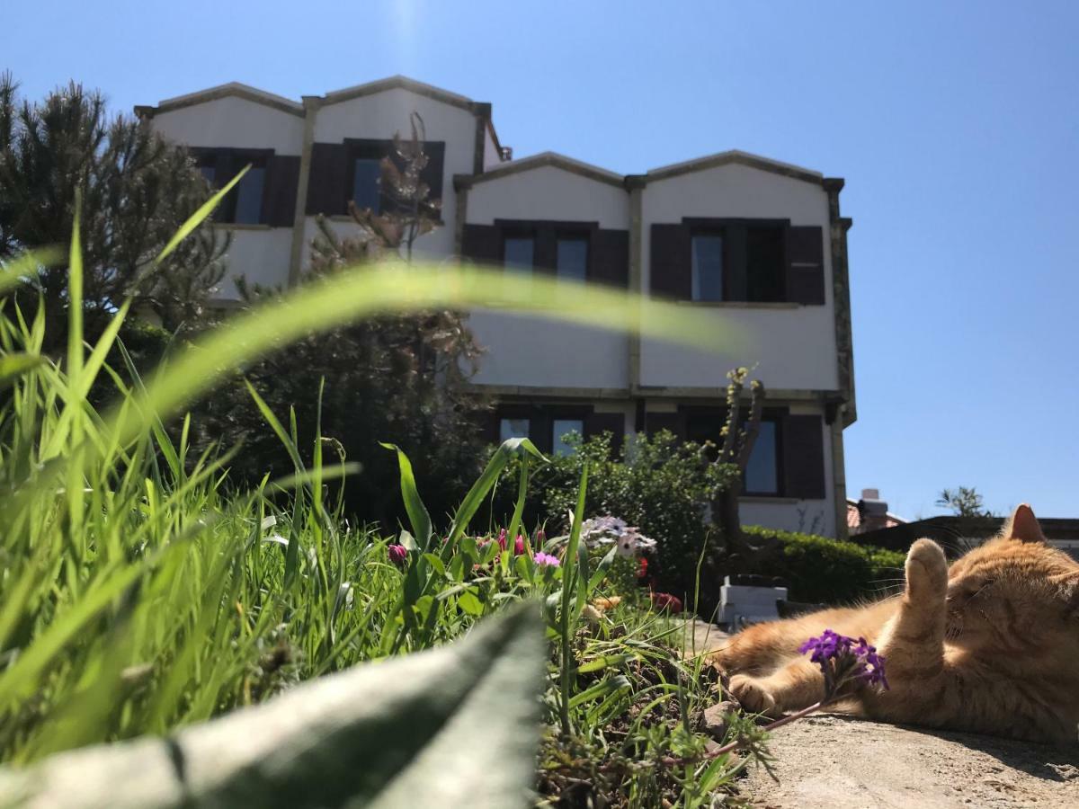Apollon Hotel Бозджаада Екстериор снимка